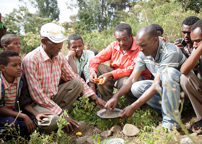 Äthiopische Männer bei einem Landwirtschaftskurs.