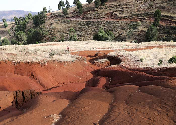 Erosionsgraben in Äthiopien mit roter Erde