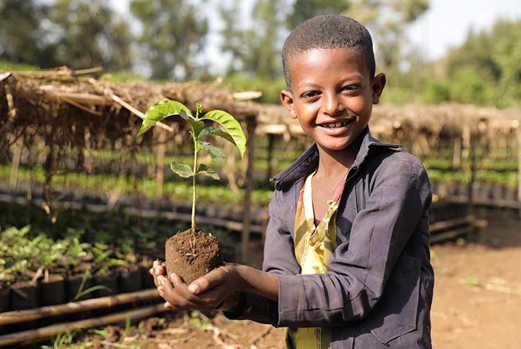 Junge in Baumschule in Äthiopien mit Setzling in der Hand