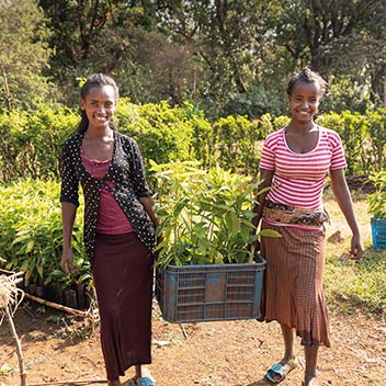 Zwei Mädchen in Äthiopien halten eine Kiste mit Baumsetzlingen