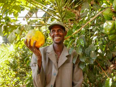 a man in Ethiopia is holding a papaya
