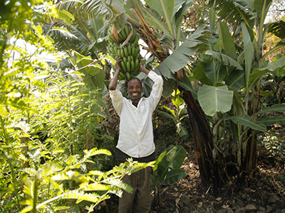 a men in Ethiopia is standing in his garden under a banana tree