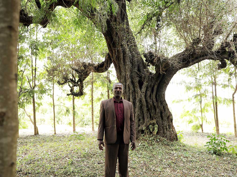 Ein Mann setht vor einem großen Baum.