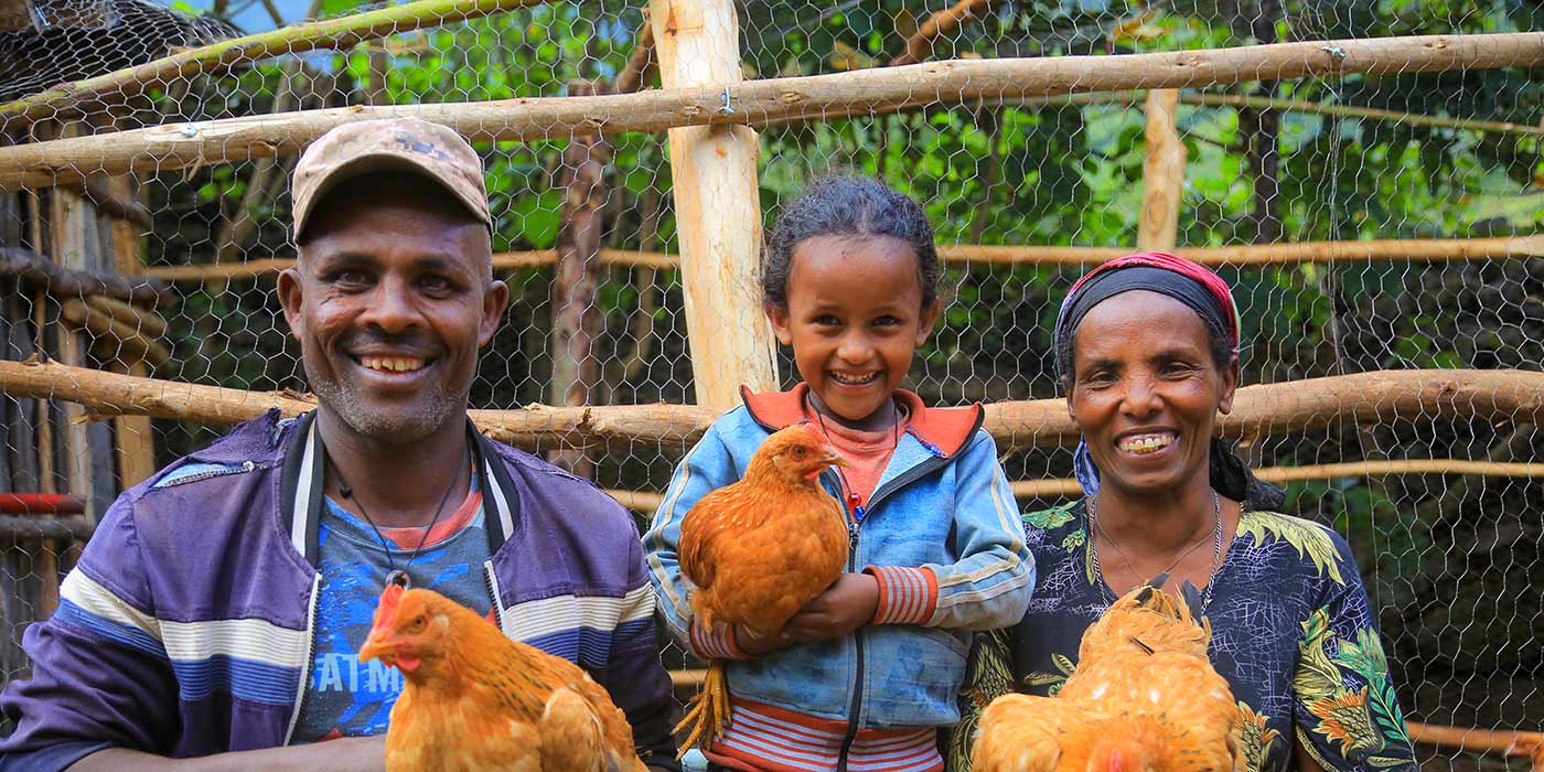 mother, father and small daughter are holding a chicken each, smiling in the camera