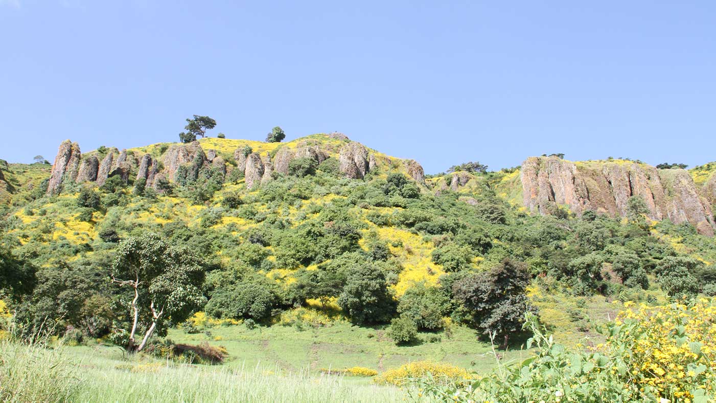 Äthiopische Grüne Landschaft