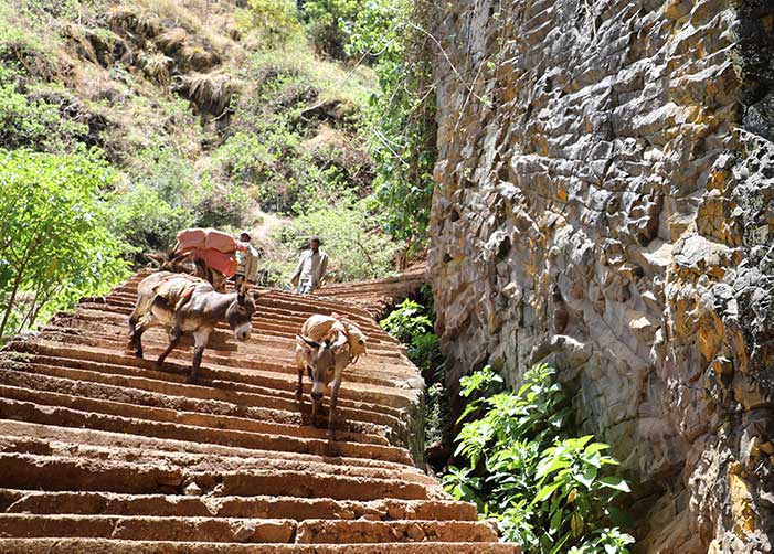 Treppen in Äthiopien mit drei Eseln und zwei Menschen