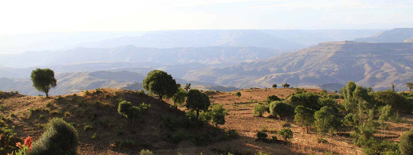 Panorama mit Bäumen und Hügeln in Derra Äthiopien